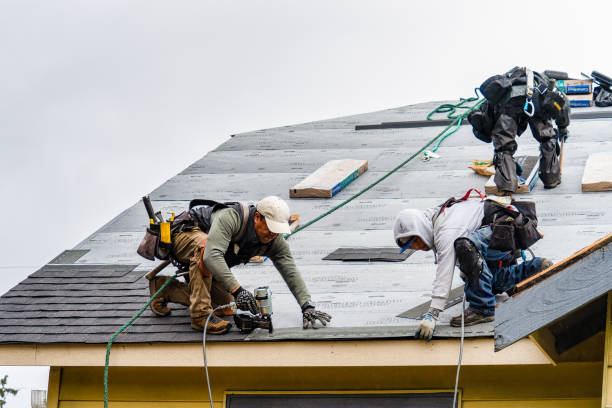 Professional Roofing technician working in Rayland, OH